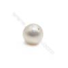 天然白色淡水珍珠半孔圓珠  直徑 約7.5-8毫米 孔徑 約0.8毫米 10個/包