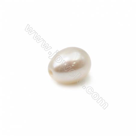 天然白色淡水珍珠蛋形半孔珠  尺寸 約 6毫米 孔徑 約0.8毫米 100個/包