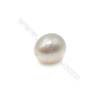 Perles d'eau douce semi-percées blanche ovale Environ 11mm de diamètre  trou 0.8mm  2perles/paquet