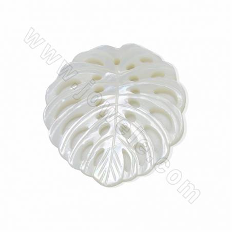 White Mother-Of-Pearl Shell Hollow Carved Leaf Charms Diameter 20x22mm 2pcs/Pack