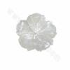 Natural White Mother-of-pearl Shell Flower Pendant Charms 28x28mm Hole 0.8mm  2pcs/Pack