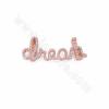Brass Micro Pave Cubic Zirconia Slide Charms Word "dream" Size 14x34mm Hole 10x2mm 6pcs/Pack