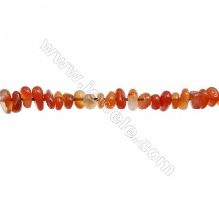 Natural Carnelian Beads Strands   Size 5~8x6~12mm  Hole: 0.8mm  15~16" x 1strand
