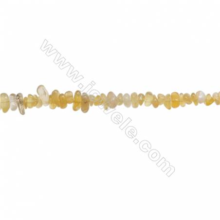 Natural Yellow Jade Chips  Size 4~8x5~12mm  hole 0.8mm  15~16" x 1strand