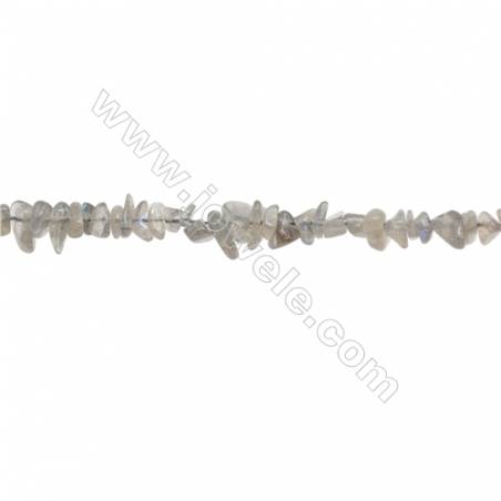 Natural Labradorite Beads Strand  Chips  Size 4~8x5~12mm  hole 0.8mm  15~16" x 1strand