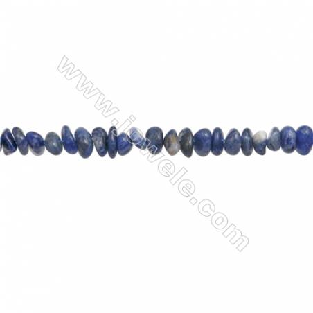 Natural Sodalite Beads Strand  Chips  Size 5~8x6~10mm  hole 0.8mm  15~16" x 1strand