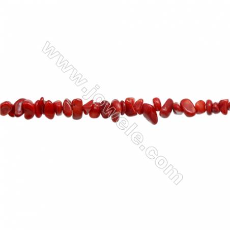 Corail teinté rouge en forme de chips sur fil  Taille 4~8x5~14mm trou 0.8mm x1fil Environ 31~32"