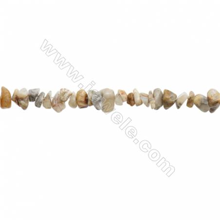 Natural Fossil Coral Agate Beads Strand  Chips  Size 4~7x5~14mm  hole 0.8mm  31~32" x 1strand