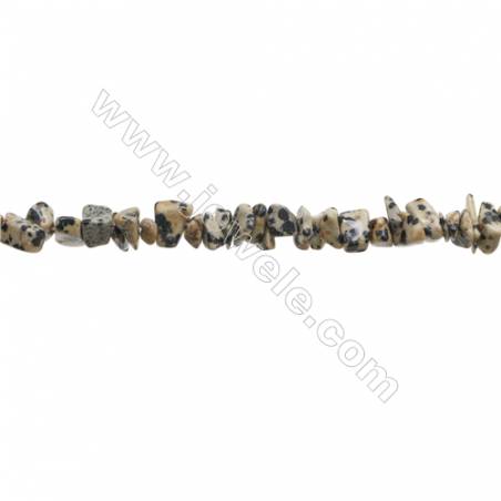 Natural Dalmatian Jasper Beads Strand  Chips  Size 4~8x5~14mm  hole 0.8mm  31~32" x 1strand