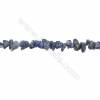 Natural Sodalite Beads Strand  Chips  Size 3~8x6~13mm  hole 0.8mm  31~32" x 1strand