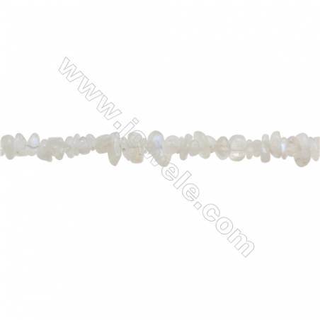 Natural Moonstone Beads Strand  Chips  Size 4~8x5~12mm  hole 0.8mm  31~32" x 1strand