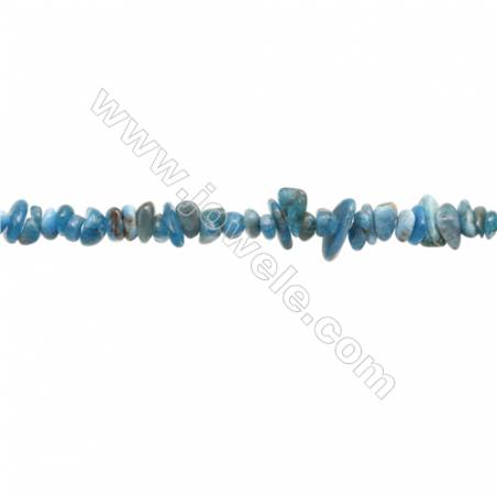 Natural Apatite Beads Strand  Chips  Size 4~8x5~13mm  hole 0.8mm  31~32" x 1strand