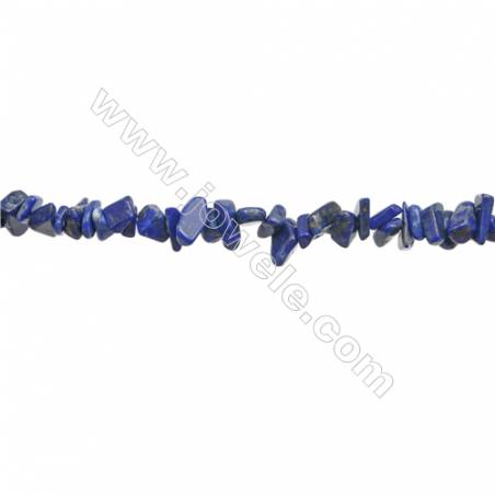 Lapis-lazuli en forme de chips sur fil  Taille 4~9x5~13mm trou 0.8mm x1fil Environ 31~32"