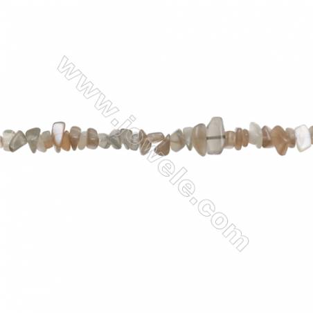 Natural Labradorite Beads Strand  Chips  Size 4~7x5~14mm  hole 0.8mm  31~32" x 1strand