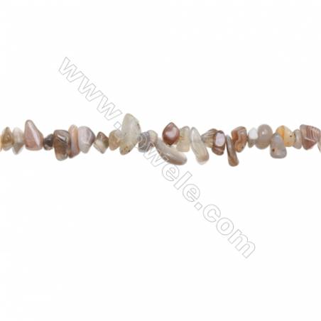 Perles Agate du Botswanna en forme irrégulière sur fil Taille 4~7x5~12mm trou 0.8mm x1fil 31~32"