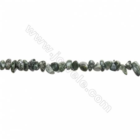 Natural Seraphinite Chips Beads  Size 4~9x5~12mm  hole 0.8mm  15~16" x 1 Strand