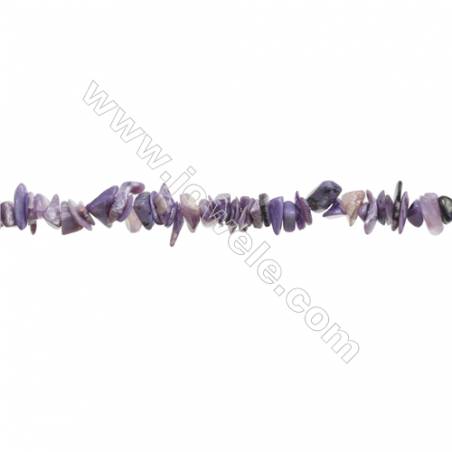 Natural Charoite Chips Beads   Size 4~9x5~12mm  hole 0.8mm  15~16" x 1 Strand