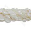 Натуральные белые бусины раковины пряди плоские овальные размер 10x14-22x30мм отверстие 1мм 15~16"/прядь