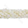 Натуральные белые бусины раковины пряди листья размер 12x12mm отверстие 1 мм 15~16"/подставка
