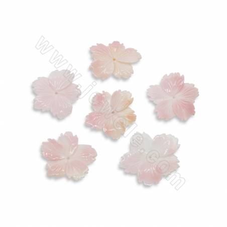 Concha de reina rosada natural Flor Tamaño26~34mm Agujero1.5mm 1unidad