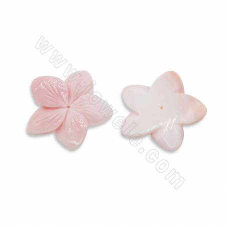 Natürliche rosa Königin Muschelschale Charms Blumengröße 30 mm Loch 1 mm 1 Stück / Packung