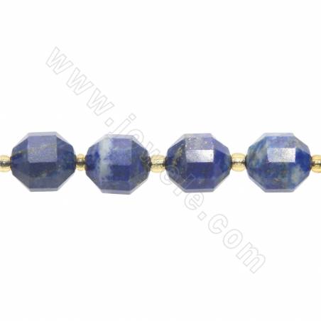 Natural Lapis Lazuli Beads Strand Faceted Prismatic Size 9x10mm Hole1.5mm About 30Beads/Strand 15~16"