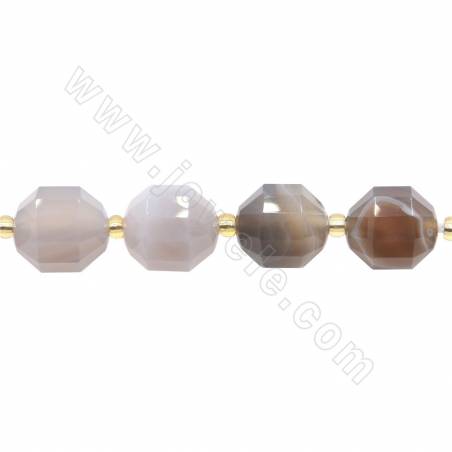 Natural Botswana Agate Beads Strand Faceted Prismatic Size 10x12mm Hole 1.5mm About 28 Beads/Strand 39-40cm