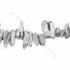 電鍍白水晶串珠 菱柱 尺寸6x18-9x32毫米 孔徑1毫米 長度約39~40釐米/條