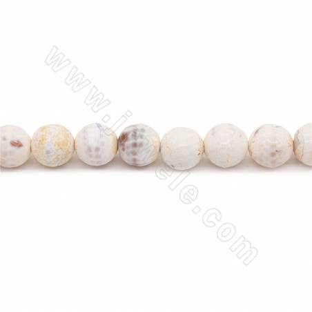 Heated Fire Agate Beads Strand Faceted Round Diameter 14mm Hole 1.5mm Approx. 30 Beads/Strand 39-40cm