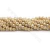 Perles nacre de galvanoplastie avec zircon ronde sur fil  Taille 10mm trou 1mm environ 39perles/fil