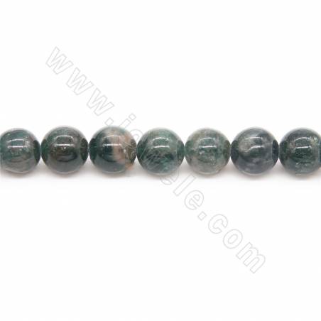 Natural Apatite Beads Strand Round Diameter 10mm Hole 1mm Approx. 41Beads/Strand
