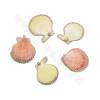 Electroplated  Yellow Scallop Shell Pendant With Gold Plated Brass Findings Approx. 45x41mm Hole 1.2mm10pcs/Pack