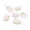Electroplated  Scallop Shell Pendant With Gold Plated Brass Findings  Approx. 20x26mm Hole 1.1mm 10pcs/Pack