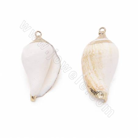 Electroplated Conch Shell Pendant With Gold Plated Brass Findings Approx. 23x42mm Hole 2.3mm 10 pcs/Pack