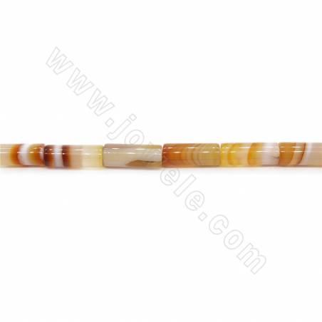 Perline di agata a strisce riscaldate Dimensioni del cilindro 8x12 mm Foro 1 mm circa 20 perline/filare