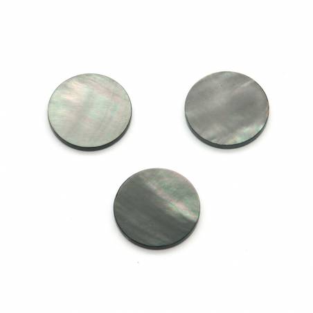 Natürliche graue Muschel-Cabochons, flach, rund, Durchmesser 20 mm × 1 Stück