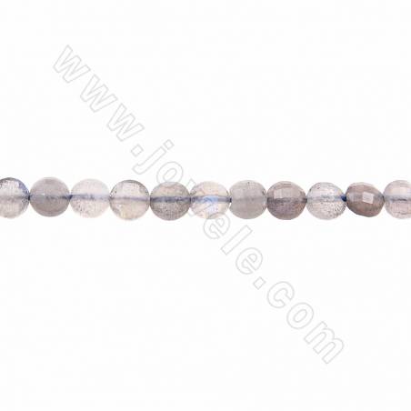 Perline naturali di labradorite sfaccettate rotonde piatte Diametro 4 mm Foro 0,8 mm Circa 90 perline/filare