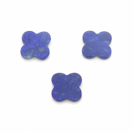 Cabonchons en Lapis-lazuli  fleur  Taille 10x10mm 2pcs/paquet