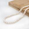 Perles de culture naturelles  perles d'eau douce ovale  blanche sur fil  5.5~6x6~6.5mm  trou 0.5mm x1 fil 15~16"