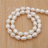 Perles de culture naturelles  perles d'eau douce ovale  blanche sur fil  8~9x10~11mm  trou 0.8mm x1 fil 15~16"