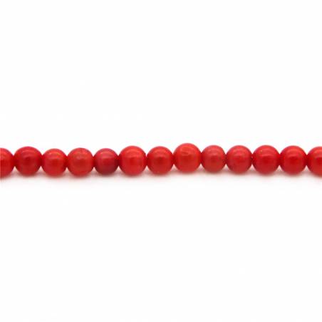 Dyed Sea Bamboo Beads Round Diameter 2-8mm Hole 0.8mm 39-40cm/Strand