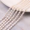 Perles de culture naturelles perles d'eau douce ovale blanche sur fil  5~6x7~8mm  trou 0.8mm  Environ 45perles 15~16"