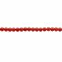 filo di perle di corallo rosso da 3 mm, rotonde, foro 0,7 mm, circa 133 perle/filo, 15~16"