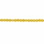 Agate jaune ronde facette sur fil  Taille 3mm de diamètre trou 0.6mm Environ 131perles/fil 15~16"
