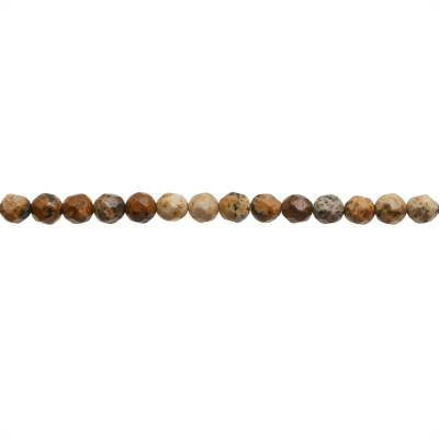 Natural Picture Jasper Beads Strand Faceted Round  Diameter 3mm Hole 0.6mm About 124 Beads/Strand 15~16"