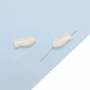 Collier de perles de nacre blanche naturelle petit poisson, Poisson, Taille 6x12mm, Trou 0.6 mm, 15 perles/collier 15~16"