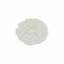 鏤空花卉圖案的白色珍珠母貝殼 18毫米  5個/包
