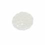 Hollow White Mother-of-Pearl Shell Charm 14mm  6pcs/Pack