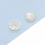 Madreperla bianca Conchiglia Fiore Fascino Dimensione10mm Foro1mm 12pz/confezione