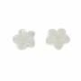 Perles de nacre blanche en forme de fleur à cinq feuilles, 9.5mm, trou 0.9mm, 12pcs/pack